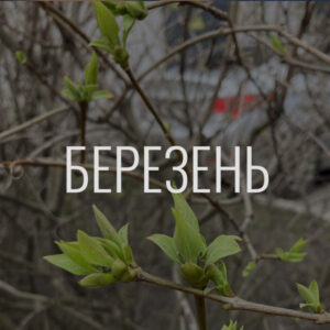 Донати за березень
