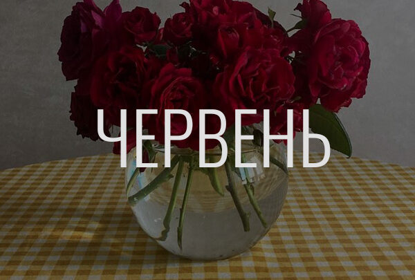 донати за червень