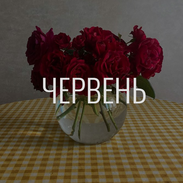 донати за червень