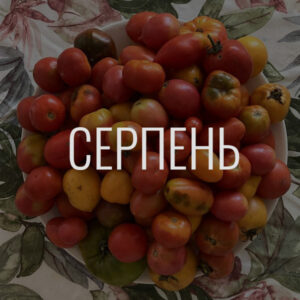 Донати за липень-серпень