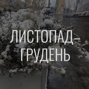 Донати за листопад-грудень